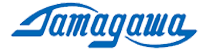 Stegmann